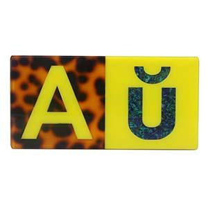 Acrylic Clutch PJ0095