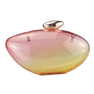 Acrylic Clutch DY0220