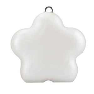 Acrylic Clutch DY0221