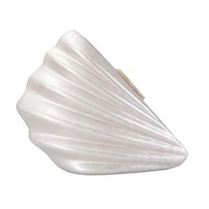Acrylic Clutch DY0233