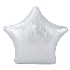 Acrylic Clutch DY0234