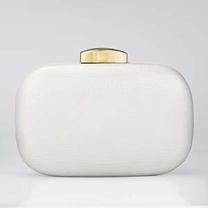 Acrylic Clutch DY0274